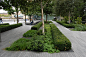 morelondon-citty-hall-park-planting.jpg (3008×2000)