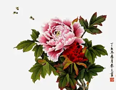 手绘唯美牡丹花高清素材 创意花型 各种花图案 商业图案 手绘图案 手绘植物 手绘花卉 月季花 植物图案 牡丹花 红玫瑰 艺术 花 花型图案 蓝色花型 免抠png 设计图片 免费下载