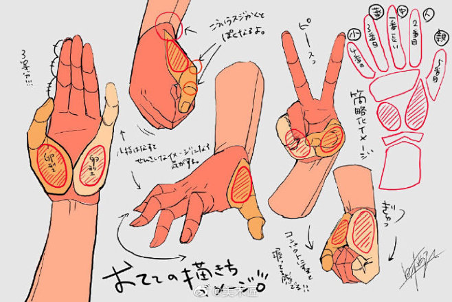 艺用人体解剖
,
人物插画师
,
白栖う...