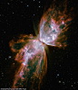 哈勃天文望远镜拍摄到的恒星死亡画面，因其绚丽形态被称为“蝴蝶星云”。该星云中有两颗相互环绕的恒星，距离地球3800光年。换句话说，这次绝美的葬礼发生在3800年前，大约是古巴比伦王颁布汉谟拉比法典的时候。