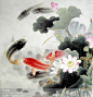 国工笔画荷花鲤鱼 雨年画