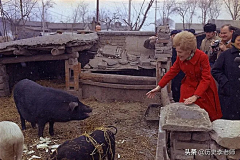 我的天ya采集到70、80年代