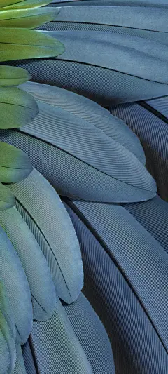 Google Pixel 7a 手机系统壁纸(5)