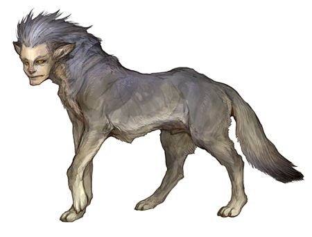 人面犬