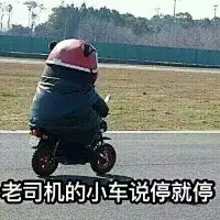 熊本表情包大集合-兴趣部落
