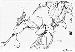 一一七李采集到国画