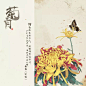 十二月份花鸟集·墦索
