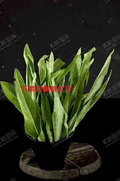 油麦菜 【酷图网】油麦菜,美食,美食诱惑,美食宣传,外卖美食,美食美味,美味,快餐,吃货,餐饮促销海报,免费试吃海报,免费吃,餐饮广告,美食试吃,新品试吃,新款试吃,菜品试吃,吃货节,吃货海报,包子,早餐,早点,小笼包,包子展架,美食节,小吃店,舌尖上的美食,餐饮,我请客,餐饮促销,美食展架,餐饮海报