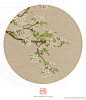 又到春分。一候可园玉兰，二候中正殿杏花，三候树山梨花。