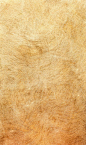 Decorative stucco texture Graphics Exclusive collection of background textures decorative plaster for walls. For all types and styles o by ArtyomMirniy