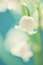 20120623153604_dJjEF.thumb.700_0