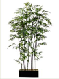 Bamboo Wall Divider from hilliardhome.com: 