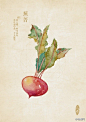 中国风本草，浅淡的笔触中散发着植物的香气。更多本草水彩请戳→O网页链接（来自人五） ​​​​