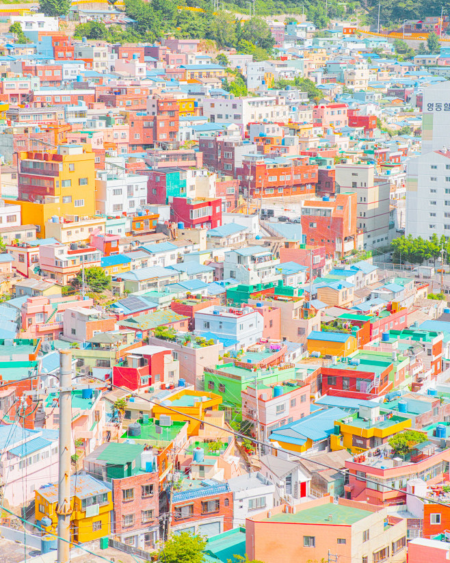 The Color of Busan, ...