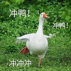 凉ダ采集到表情包