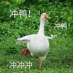 色歆/鸭鸭表情包/我们总以为来日_卡通动漫头像_我要个性网