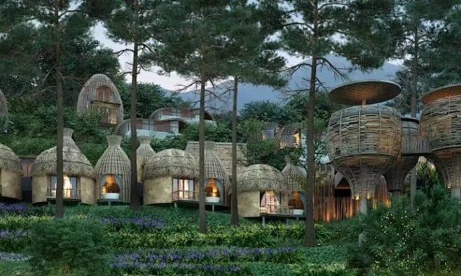 树屋精品度假酒店设计-森林的精灵