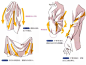 还画不好衣服褶皱？新手必备衣服褶皱的画法与表现方法！-【绘画技法】-微元素 - Element3ds.com!