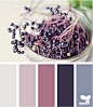 elderberry tones - 1485950391采集到color - 花瓣