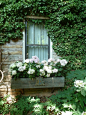 Beautiful white window box, stone house