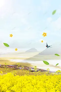 小清新春暖花开醉美油菜花海报 背景模板 背景海报 背景素材 花朵 花海 高清背景 高清背景 背景 设计图片 免费下载 页面网页 平面电商 创意素材