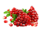 石榴png (7)