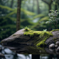 insMind Outdoor Background Forest Rocks