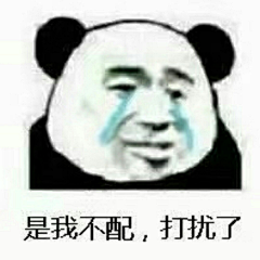 二次元橘喵采集到表情包
