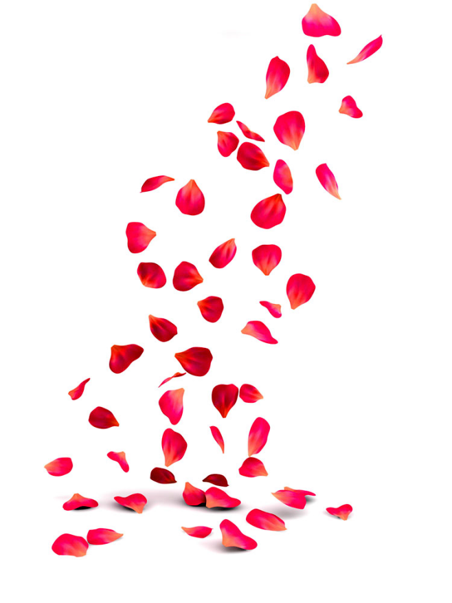 花瓣_透明png