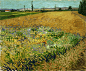 Vincent_van_Gogh_-_Wheatfield_-_Google_Art_Project.jpg (2993×2481)