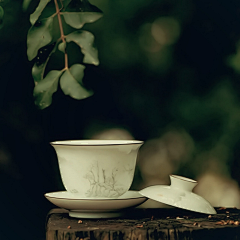 孟婷-京港展览采集到茶