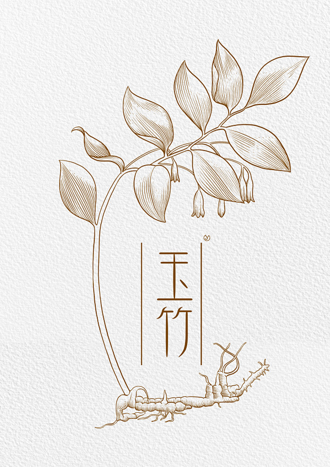 玉竹