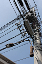 Electric poles at Setagaya: 