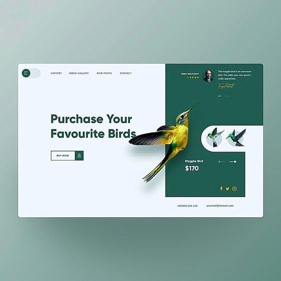 Web Design & Inspira...