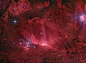 马头星云四周的云气丝 
影像提供与版权: Star Shadows Remote Observatory
说明: 著名的猎户马头星云并不孤单。长时间曝光影像显示，影像中左下方这片我们很熟悉的暗色斑块 ，是一个巨大尘埃和辉光云气团的一部份。为了拍得到这片马头星野的细微结构，美国．新墨西哥州星影远距天文台的业余天文学家，在氢原子所发出某一特定红光的波段，用一部小望远镜对这区域进行七小时的曝光，所得的影像再和另一幅曝光3小时的全彩影像叠加，才得到这张壮丽的照片。影像中清楚可见许多亘古以来被恒星风和古超新星所雕塑