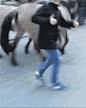 来自分享