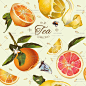 365号复古花朵边框SPA美妆蜂蜜柚子海报背景手绘水彩矢量设计素材-淘宝网