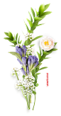 彩色手绘花朵动植物免扣png素材