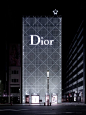 Dior building in Tokyo Japan. Beautiful facade!: 