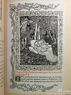 @方振宁
莫里斯可能有强迫症，那植物被他画的有把人吞噬的恐惧，但我还是爱他的艺术不能自拔／4 