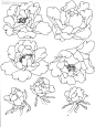 百度图片搜索_白描花卉的搜索结果12