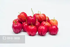 针叶樱桃 - 搜索结果 - 图虫创意-全球领先正版素材库-Adobe Stock中国独家合作伙伴