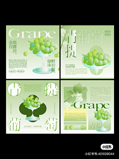 vuel采集到排版