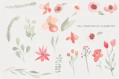 手绘的花卉树叶素材 Watercolor Floral Clipart - Tango #778626-设计元素-美工云(meigongyun.com)