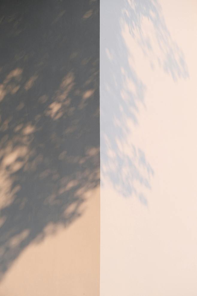 Jenkin Shen