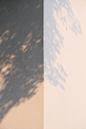 Jenkin Shen
