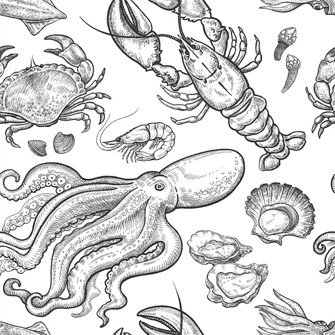 手绘素描农场海鲜鸟螃蟹牛马鱼羊鱿鱼动物矢...