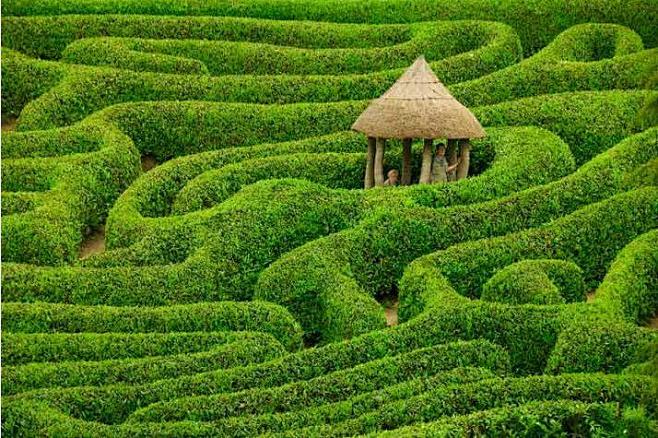 landscape maze - Goo...