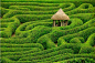 landscape maze - Google 搜索