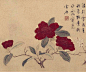 明·孙克弘《百花图卷》纸本设色，27×532.5cm，北京故宫博物院藏。全卷抓住其枝叶和花各自的自然特征描绘，有的素静清雅，有的热烈绚烂，但其姿态又无一不清细优雅。每段均有自题诗和署有“雪居”二字款，钤“孙允执氏”印。书风潇洒，与其画风的雅驯相得益彰。 更多精彩内容敬请关注：#微信公众号  致中文化# #寻根文化太美# #花鸟#